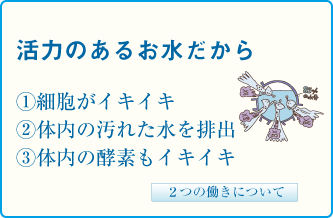 活力のある水